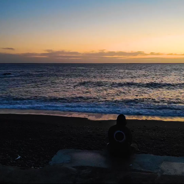 Private Paul - Statusbericht 2020 INSTRUMENTAL (Download)